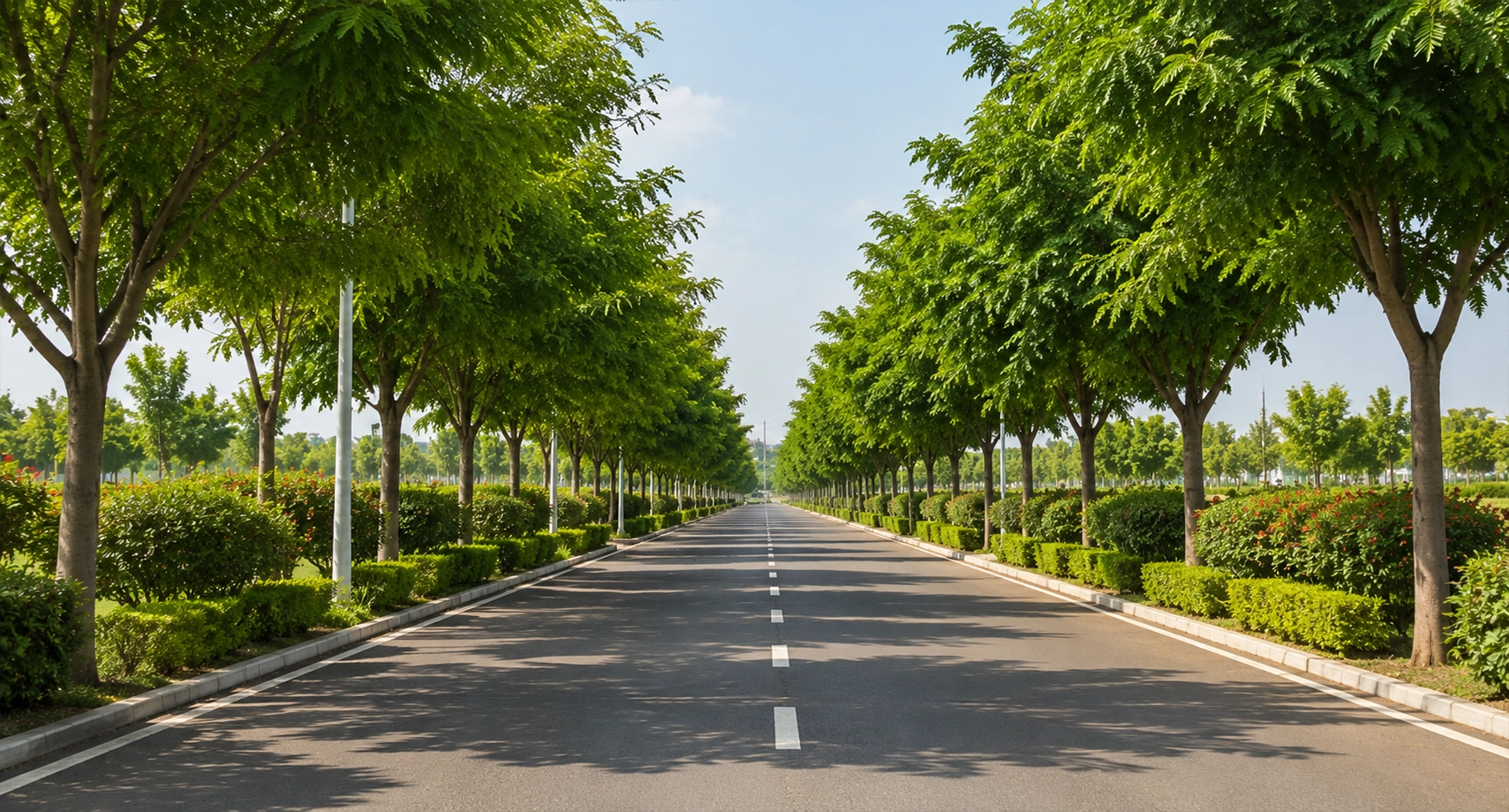 Avenue Plantation